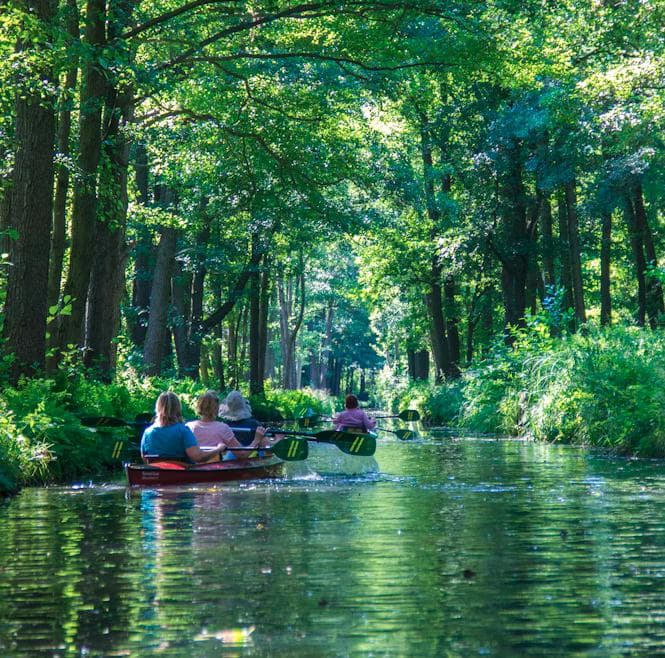 Spreewald
