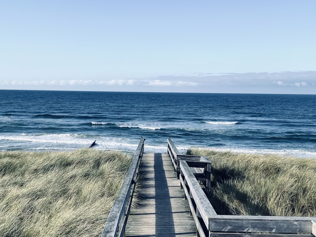 Cycling along the coastal cycling route